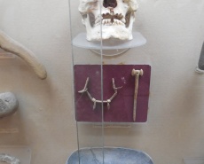 Посетил Херсонский краеведческий музей