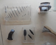 Посетил Херсонский краеведческий музей