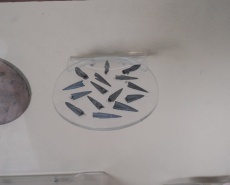 Посетил Херсонский краеведческий музей