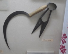 Посетил Херсонский краеведческий музей