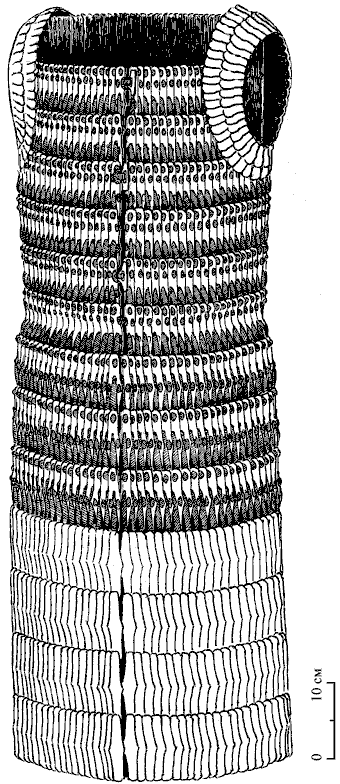 Графическая реконструкция ламеллярного доспеха из могильника Восточномалайский II