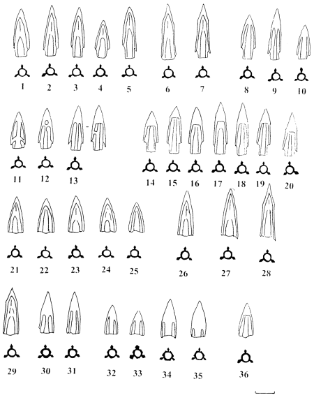 Наконечники стріл: 1-36 — бронза