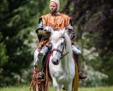 Рыцарский турнир Destrier 2016 в замке Хедингем