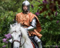 Рыцарский турнир Destrier 2016 в замке Хедингем