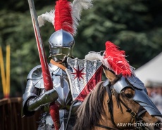 Рыцарь в готических доспехах