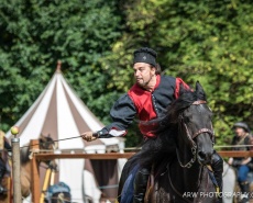 Рыцарский турнир Destrier 2016 в замке Хедингем