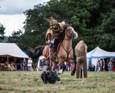 Рыцарский турнир Destrier 2016 в замке Хедингем