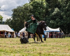 Рыцарский турнир Destrier 2016 в замке Хедингем