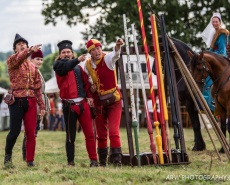 Рыцарский турнир Destrier 2016 в замке Хедингем