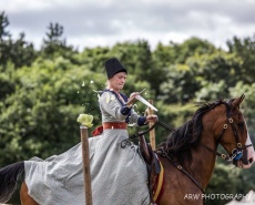 Рыцарский турнир Destrier 2016 в замке Хедингем
